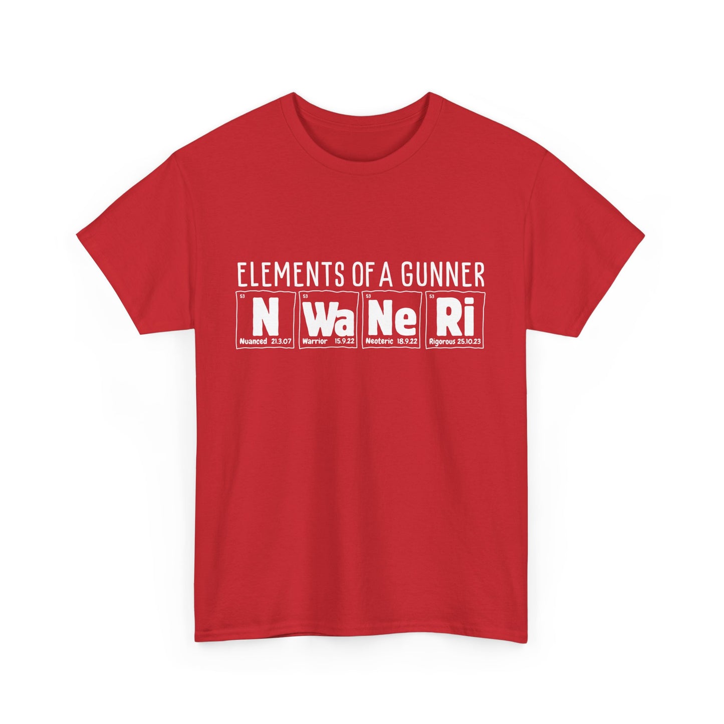 Elements of a Gunner | Ethan Nwaneri