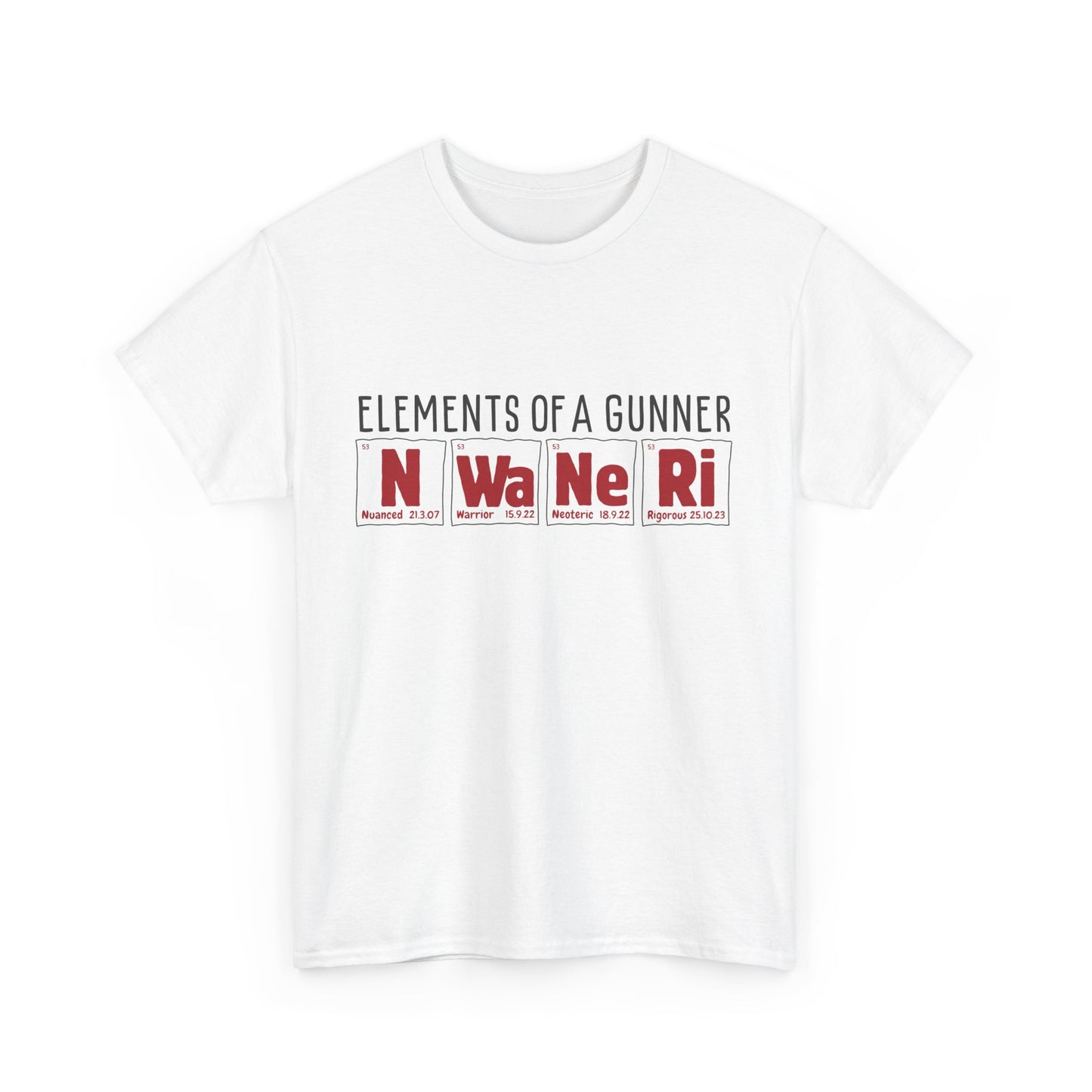 Elements of a Gunner | Ethan Nwaneri