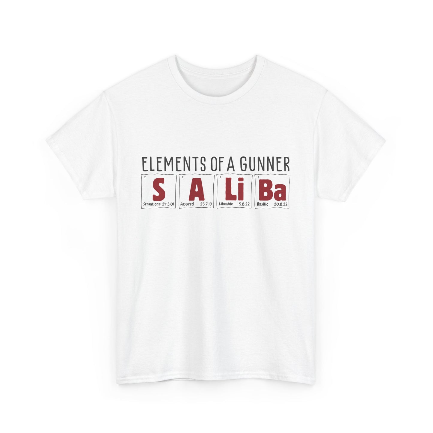 Elements of a Gunner | William Saliba